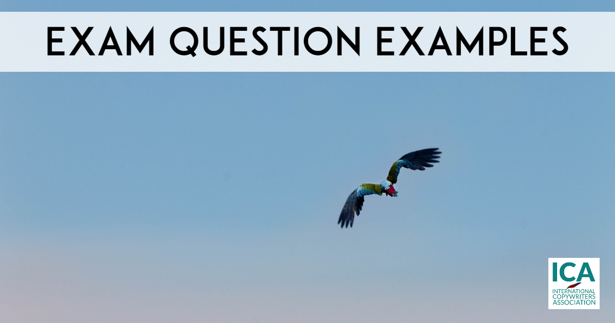 Accountancy Exam Question Examples: Key Concepts and Practice Problems